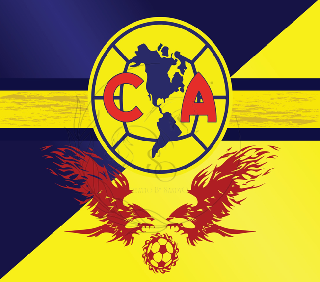 T734 | Sublimation Transfers | Soccer | America
