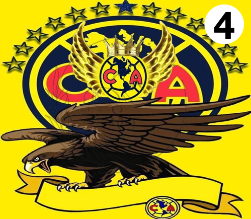 T850 | Transfers to Sublimate | America Soccer