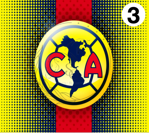 T851 | Transfers to Sublimate | America Soccer