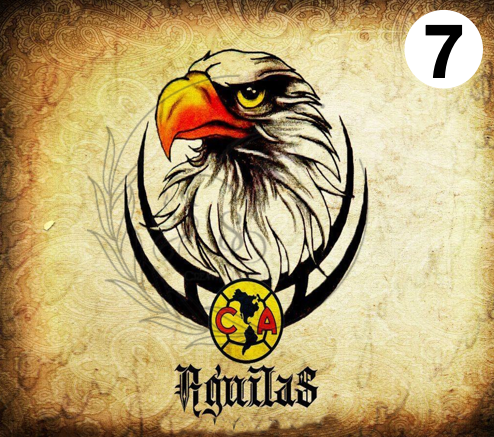 T851 | Transfers to Sublimate | America Soccer