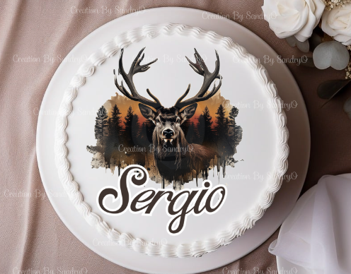 Decoración Comestible para tortas | S7 | Personalizada